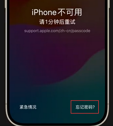 江北苹果手机密码维修分享iPhone忘记了刚设置的密码 
