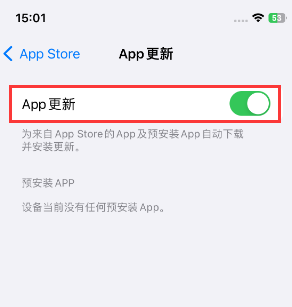 江北苹果15维修中心如何让iPhone15APP自动更新 江北苹果15维修中心如何让iPhone15APP自动更新