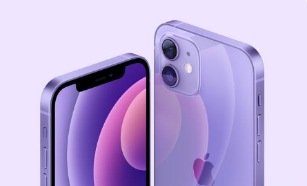 江北苹果手机维修分享紫色版iPhone 12有什么技术亮点 