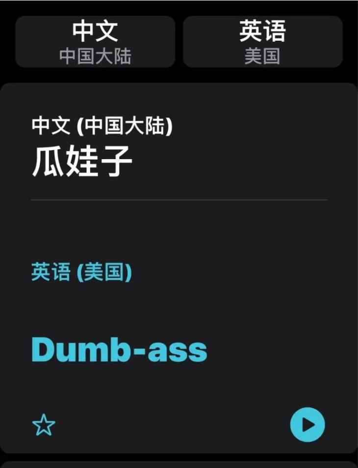 江北苹果手机维修分享iOS14的“翻译太懂了”怎么用 